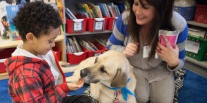 cane_scuola_chicago