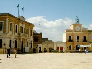 san-vito-dei-normanni-duecento-euro-annuali-per-chi-adotta-i-cani-abbandonati--1441882158-media