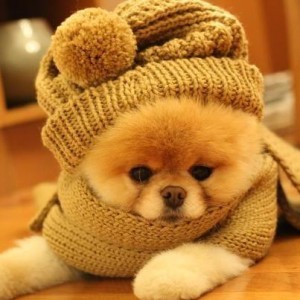 che-freddo-boo_672-458_resize