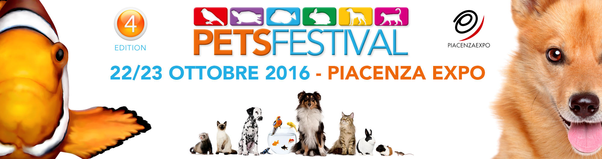 petsfestival il mio cane