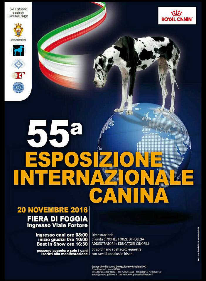 55a_esposizione_internazionale_canina_foggia-il_mio_cane