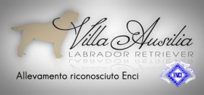 allevamento-villa-ausilia-ilmiocane-0.jpg