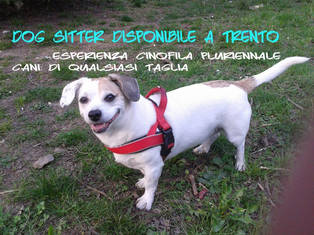 2014-03-21 16.jpg