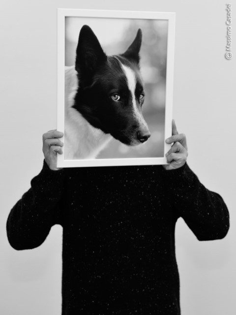 massimo-casadei-fotografo.jpg