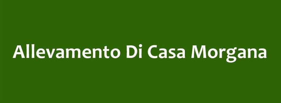 casa Morgana.jpg