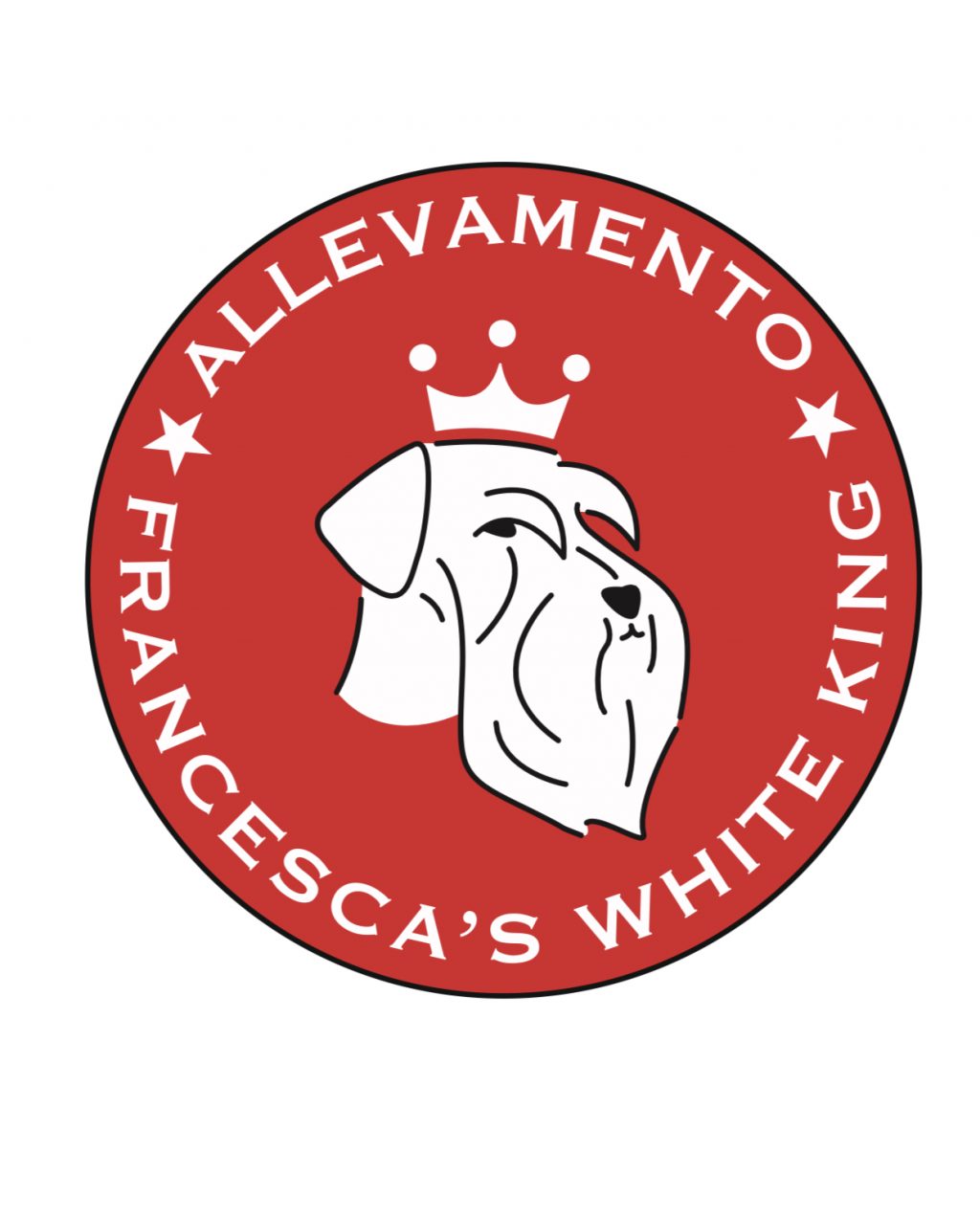 white-king-allevamento-schnauzer-nani-bianchi.jpeg