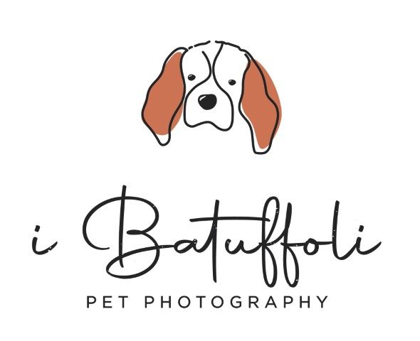 i-batuffoli-pet-photography.jpg