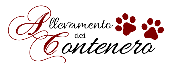 allevamento-barbone-toy-e-nano-dei-contenero.png