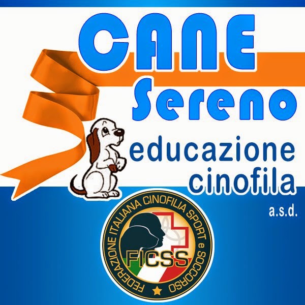 CSLQ.jpg