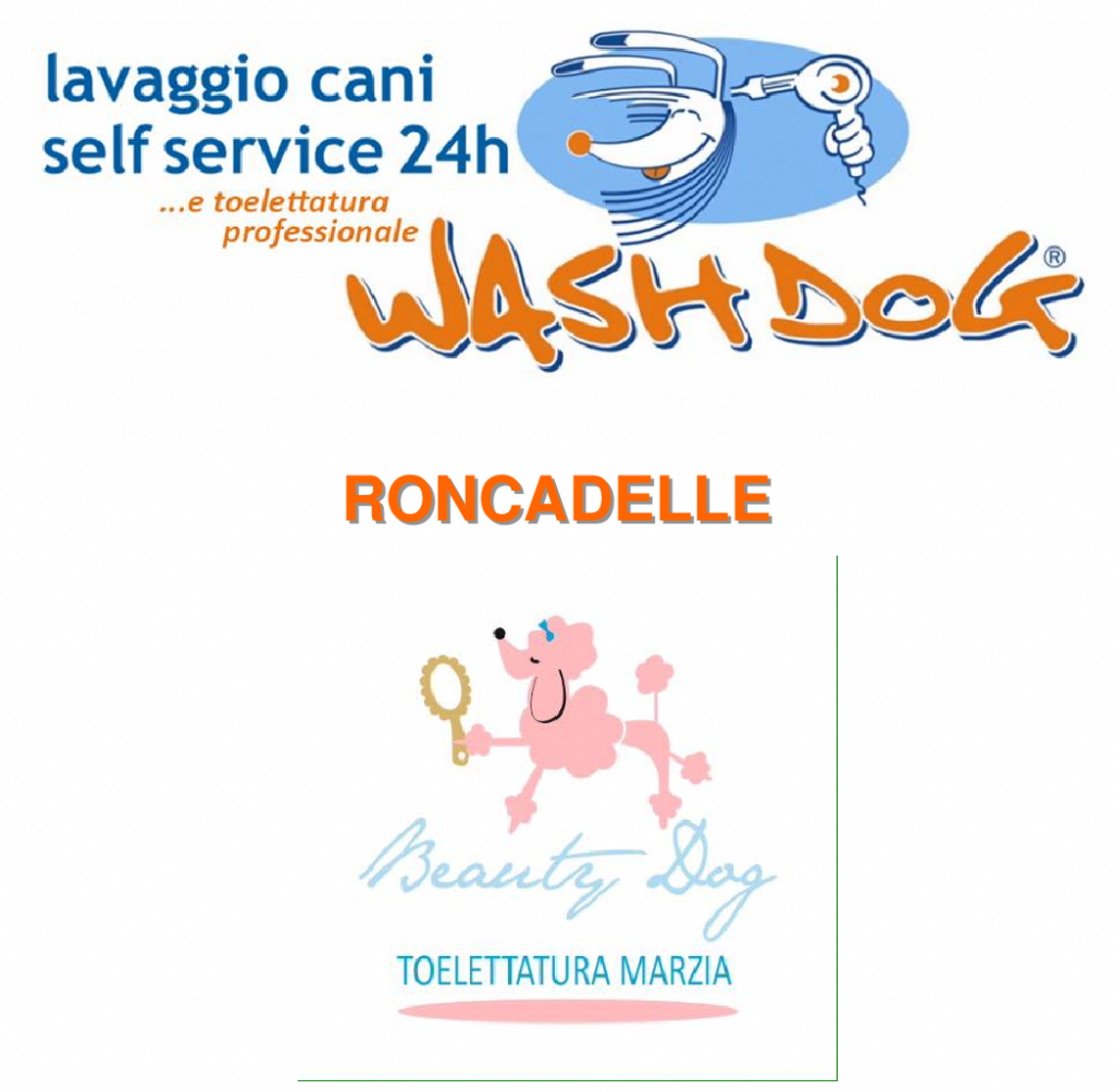 wash dog roncadelle.png