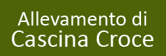 Pensione_per_cani_Cascina_Croce.png