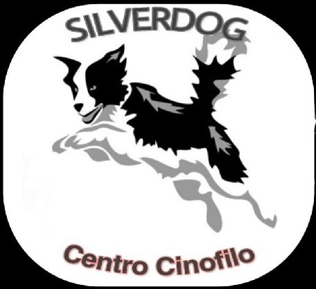 silverdog-centro-cinofilo-educatore-istruttore-cinofilo-certificato-venezia.jpg