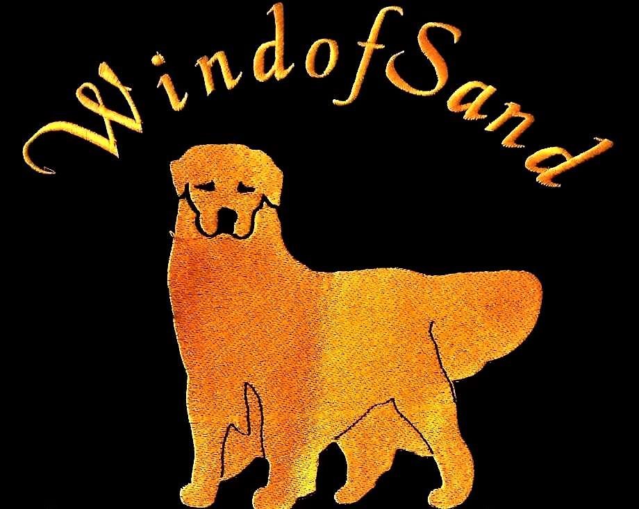 Wind-of-Sand-Allevamento-Golden-Retriever-Americani.jpg