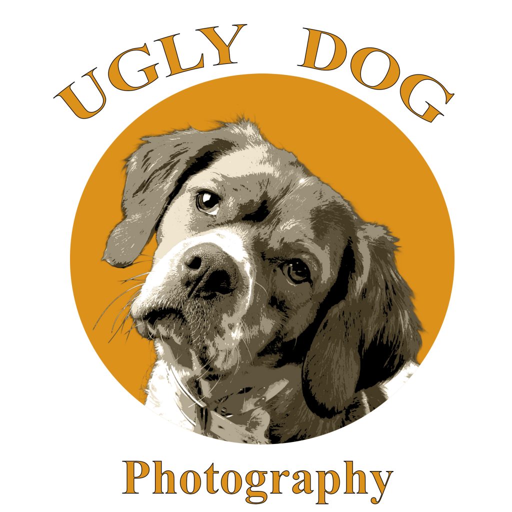ugly-dog-pet-photography.jpg