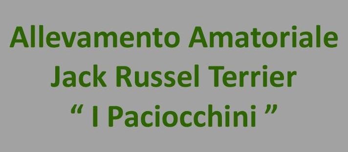 Pubblicazione2.jpg