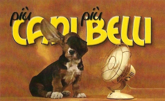 Più_Can_Più_Belli_Toelettatura Foggia.jpg