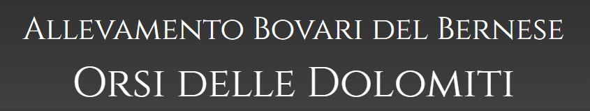 Allevamento-Bovari-del-Bernese-ORSI-DELLE-DOLOMITI.png