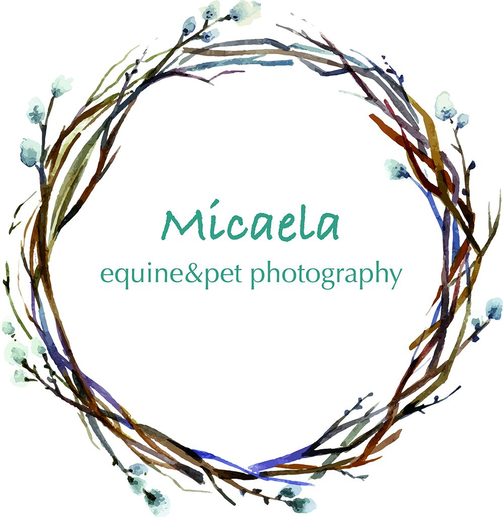 Micaela_equine-pet_photography