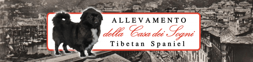 Allevamento della Casa dei Sogni