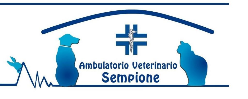 Ambulatorio_Veterinario_Sempione_Torino.jpg