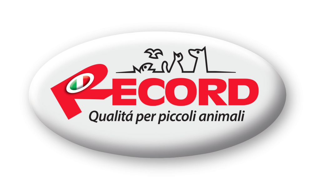 record logo.png