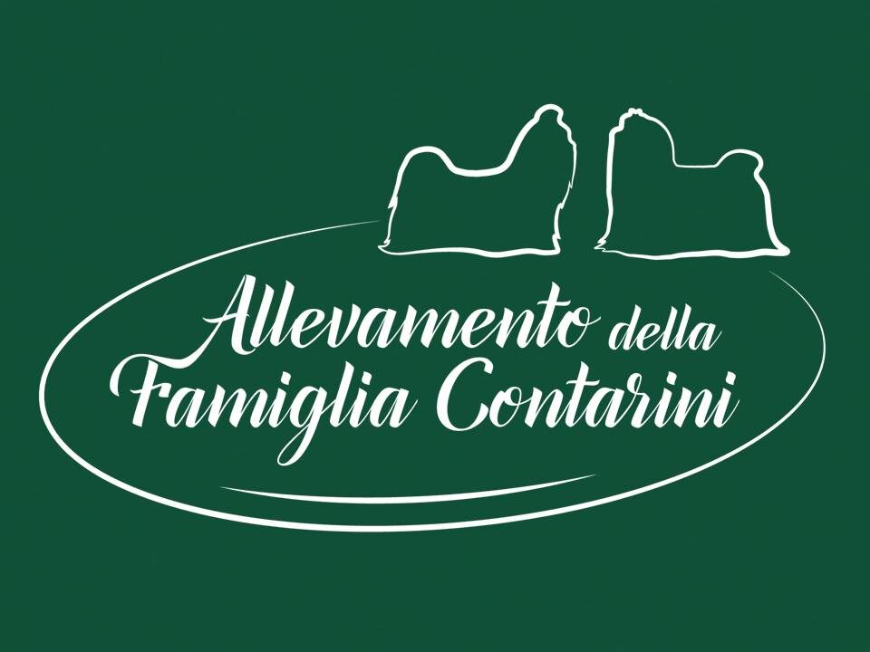 Allevamento_shihtzu_della_famiglia_contarini.jpg