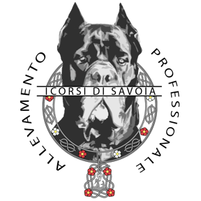 i-corsi-di-savoia-allevamento-professionale-cane-corso.png