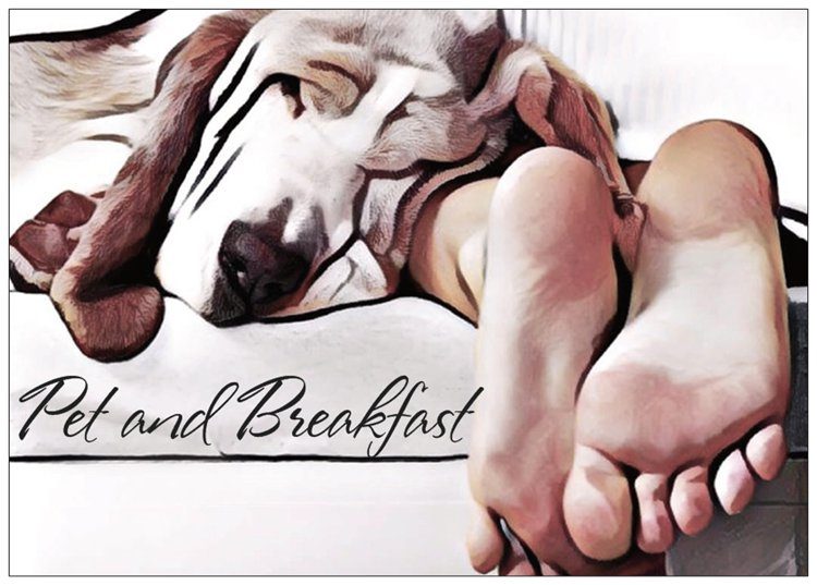 Pet_and_Breakfast.jpg