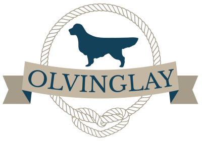 Allevamento-Golden-Retriever-Olvinglay.png
