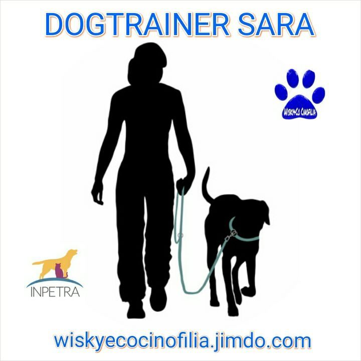 Sara_Morini_dogsitter_Città_di_Castello.jpg