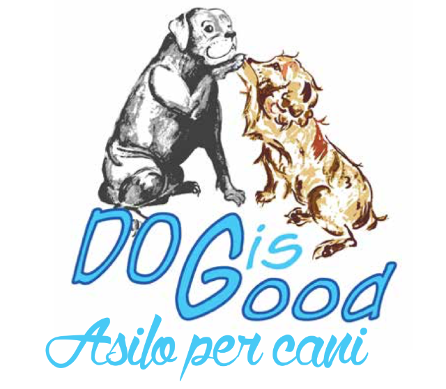 logo asilo.PNG