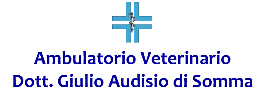 Ambulatorio_Veterinario_a_Trana_e_Villarbasse.png