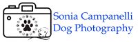 dog-photography-sonia-campanelli.jpg