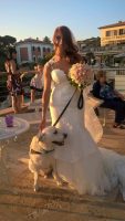 wedding_dog_sitter_parola_di_fido.jpg