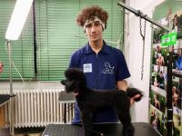 ACAD-scuola-di toelettatura-e-benessere-animale-2.jpg