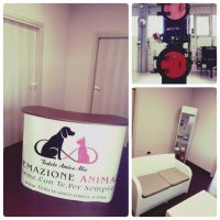 fedele-amico-mio-cremazione-animali-3.jpg