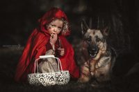 dog-photo-varese_1.jpg