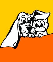 Più_cani_più_belli_Toelettatura_Roma.jpg