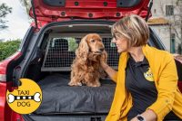 taxidog-2.jpg