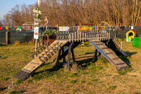 iagolandia-parco-giochi-per-cani_2