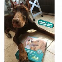 EMMI_PET_Trieste_1.jpg