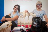 dog-massage-academy-scuola-di-massaggio-per-cani-3.jpg