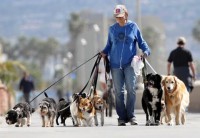 Martindog-Dog-Sitter-e-Pensione-per-Cani-Bari-1.jpg