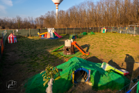 iagolandia-parco-giochi-per-cani_4