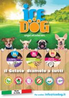 ice-dog-gelato-artigianale-per-cani-4.jpg