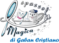 logo2.png