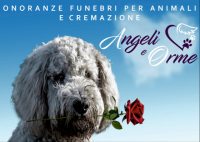 angeli-e-orme-onoranze-funebri-per-animali-e-cremazione-in-liguria-2.png