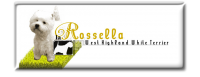 LaRossellaHomeBianca.png