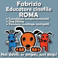 Educatore_Cinofilo_Dog_sitter_Pensione_casalinga_Roma.jpg