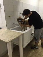 millebollebau-ilmiocane2.jpg